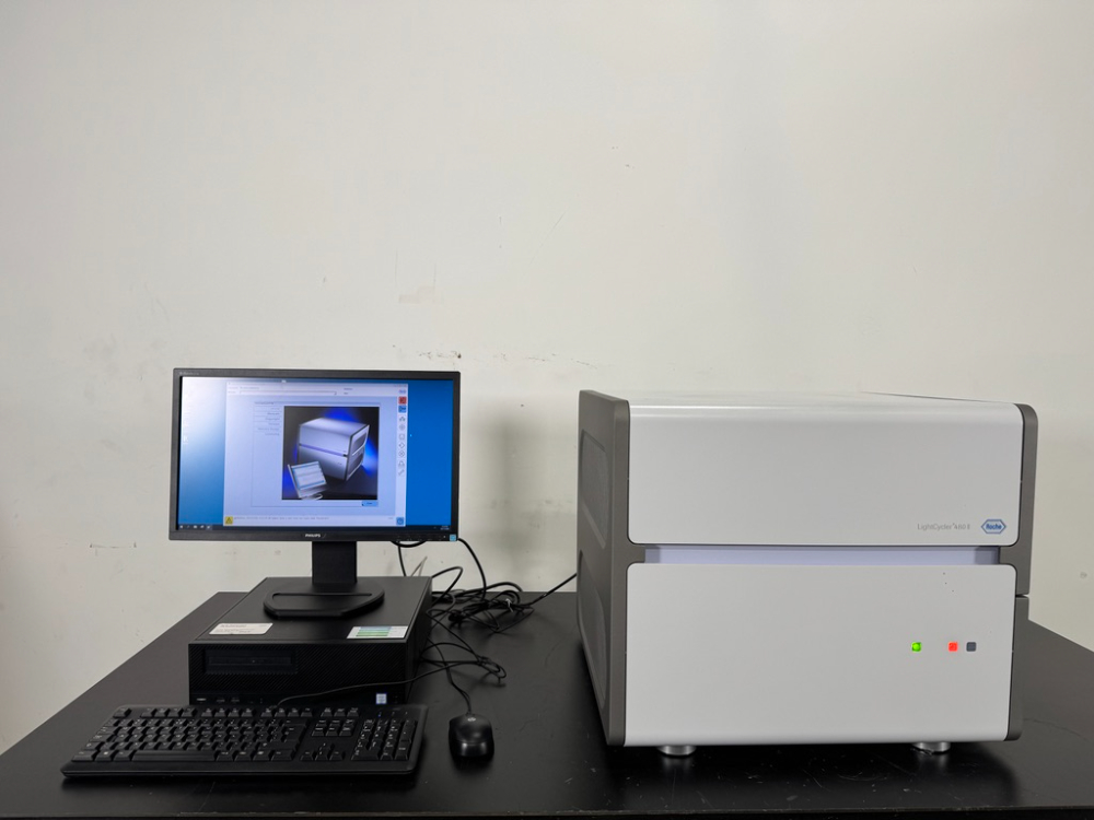 Image of Roche LightCycler 480 II Thermal Cycler